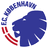 F.C. Copenhagen